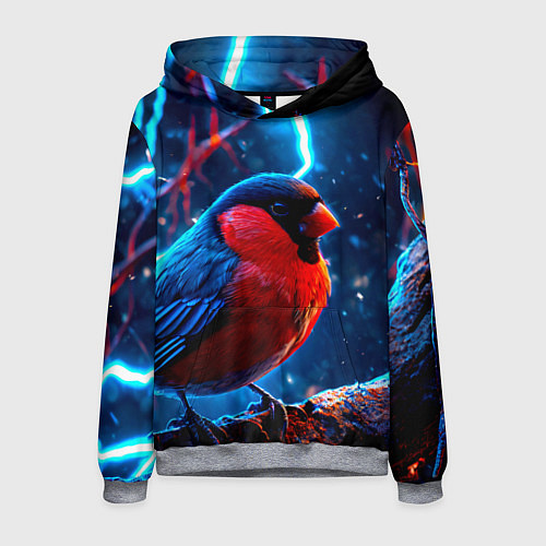 Мужская толстовка Снигирь и молнии / 3D-Меланж – фото 1