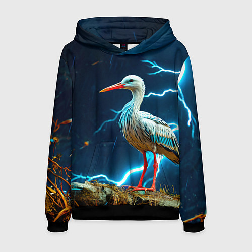 Мужская толстовка Аист и гроза / 3D-Черный – фото 1