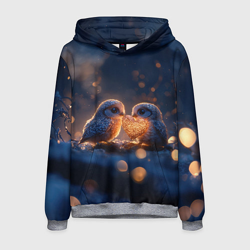 Мужская толстовка Милые влюбленные совушки / 3D-Меланж – фото 1