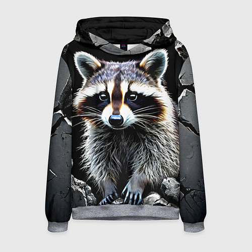 Мужская толстовка Енот на черном / 3D-Меланж – фото 1