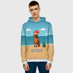 Толстовка-худи мужская Лошадь почему мем, цвет: 3D-белый — фото 2