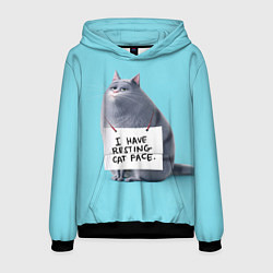 Толстовка-худи мужская I have resing cat face, цвет: 3D-черный