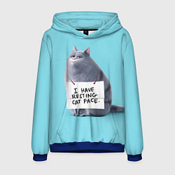 Толстовка-худи мужская I have resing cat face, цвет: 3D-синий