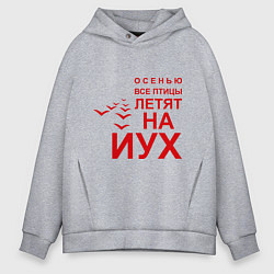 Толстовка оверсайз мужская Птицы летят на йух, цвет: меланж
