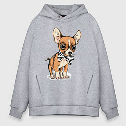 Толстовка оверсайз мужская Чихуахуа с бабочкой, цвет: меланж