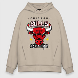 Толстовка оверсайз мужская Chicago Bulls est. 1966, цвет: миндальный