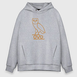 Толстовка оверсайз мужская OVO Owl, цвет: меланж