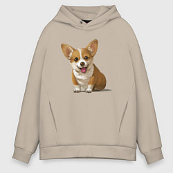 Толстовка оверсайз мужская КОРГИ, цвет: миндальный
