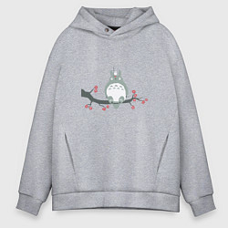 Толстовка оверсайз мужская Тоторо, цвет: меланж