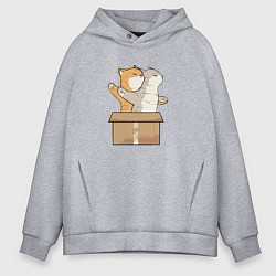 Толстовка оверсайз мужская Catanic, цвет: меланж