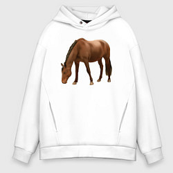 Толстовка оверсайз мужская Датская теплокровная лошадь, цвет: белый