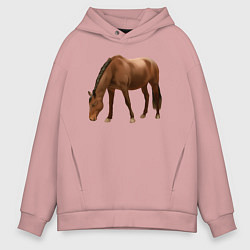 Толстовка оверсайз мужская Датская теплокровная лошадь, цвет: пыльно-розовый
