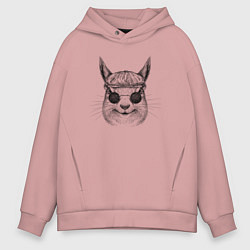 Толстовка оверсайз мужская Белка-хипстер, цвет: пыльно-розовый