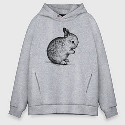 Толстовка оверсайз мужская Зайчик маленький, цвет: меланж