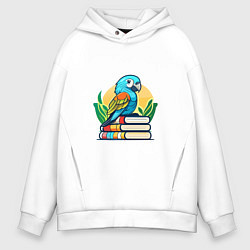 Толстовка оверсайз мужская Попугай на стопке книг, цвет: белый
