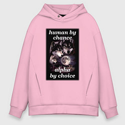 Толстовка оверсайз мужская Human by chance, alpha by choice, цвет: светло-розовый