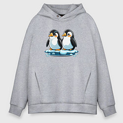 Толстовка оверсайз мужская Два пингвина на льдине, цвет: меланж