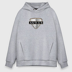 Толстовка оверсайз мужская AURUS logo auto, цвет: меланж