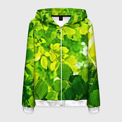 Толстовка 3D на молнии мужская Зелёные листья, цвет: 3D-белый
