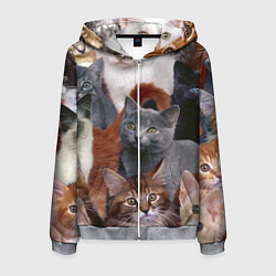 Толстовка 3D на молнии мужская КОТЯТКИ, цвет: 3D-меланж