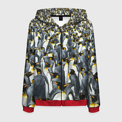 Толстовка 3D на молнии мужская Пингвины Penguins, цвет: 3D-красный