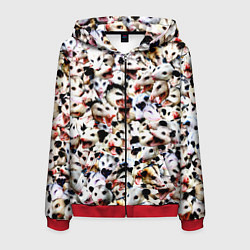 Мужская толстовка на молнии Опоссумы