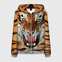 Толстовка 3D на молнии мужская Взгляд тигра, цвет: 3D-меланж