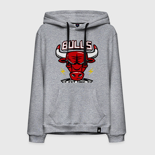 Мужская толстовка-худи Chicago Bulls est. 1966 / Меланж – фото 1