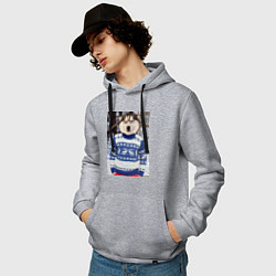Толстовка-худи хлопковая мужская Хаски в свитере, цвет: меланж — фото 2