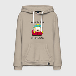 Толстовка-худи хлопковая мужская ЮЖНЫЙ ПАРК, цвет: миндальный