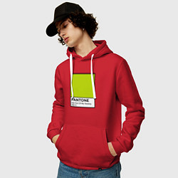 Толстовка-худи хлопковая мужская Shrek: Pantone Color, цвет: красный — фото 2