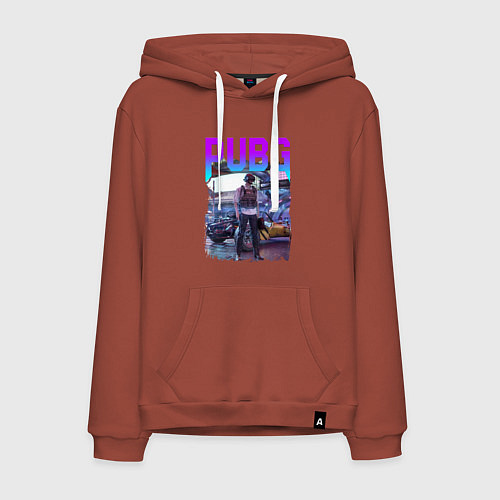 Мужская толстовка-худи PUBG NEON ПУБГ НЕОН Z / Кирпичный – фото 1