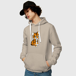 Толстовка-худи хлопковая мужская Little Tiger, цвет: миндальный — фото 2