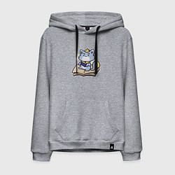Толстовка-худи хлопковая мужская The Magical Cat Yuumi, цвет: меланж