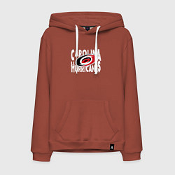 Толстовка-худи хлопковая мужская Каролина Харрикейнз, Carolina Hurricanes, цвет: кирпичный