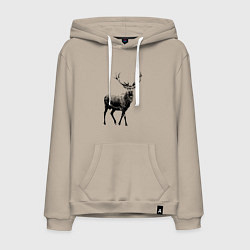 Толстовка-худи хлопковая мужская Черный олень Black Deer, цвет: миндальный