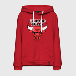 Толстовка-худи хлопковая мужская Chicago Bulls, цвет: красный