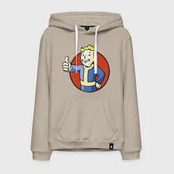 Мужская толстовка-худи Vault boy like