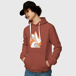 Толстовка-худи хлопковая мужская Orange Rabbit, цвет: кирпичный — фото 2