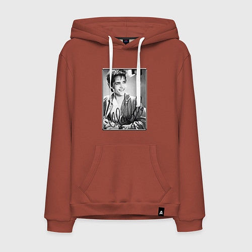 Мужская толстовка-худи Юрий Шатунов - портрет с автографом / Кирпичный – фото 1