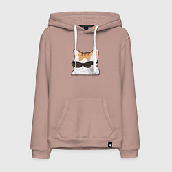 Толстовка-худи хлопковая мужская Бело-рыжий котик в очках, цвет: пыльно-розовый