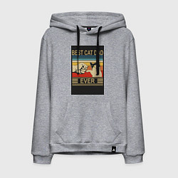 Толстовка-худи хлопковая мужская Лучший кошачий папа на свете, цвет: меланж