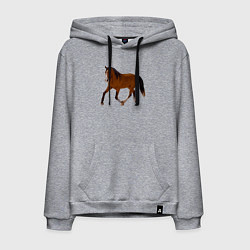 Толстовка-худи хлопковая мужская Голландская теплокровная, цвет: меланж