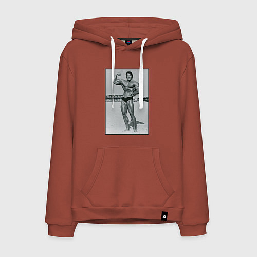 Мужская толстовка-худи Mister Schwarzenegger / Кирпичный – фото 1