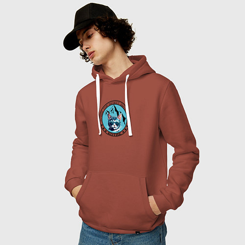 Мужская толстовка-худи Лучше гор может быть только котик / Кирпичный – фото 3