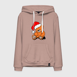 Толстовка-худи хлопковая мужская Плюшевый медведь в колпаке, цвет: пыльно-розовый