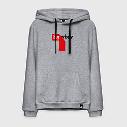 Толстовка-худи хлопковая мужская Superboy, цвет: меланж