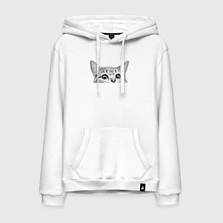 Толстовка-худи хлопковая мужская Кот ты уже спишь, цвет: белый