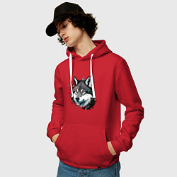 Толстовка-худи хлопковая мужская Портрет волка с брызгами краски, цвет: красный — фото 2