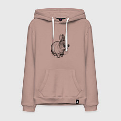 Толстовка-худи хлопковая мужская Стильный зайчишка, цвет: пыльно-розовый